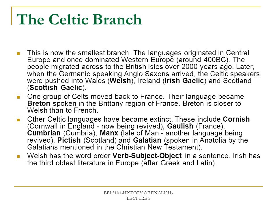 An analysis of celtic languages and their history